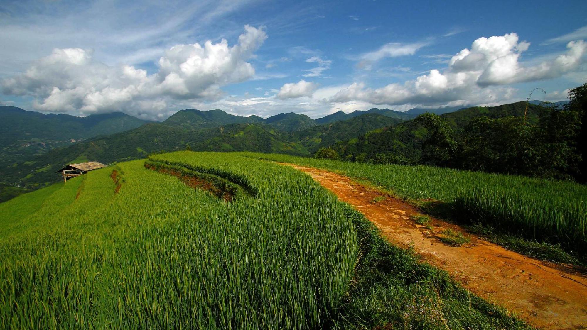 Hoang Su Phi - Mong Ngua Homestay Хазянг Экстерьер фото