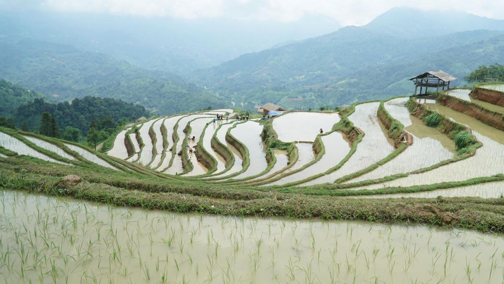 Hoang Su Phi - Mong Ngua Homestay Хазянг Экстерьер фото